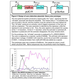 Illustration for article titled Making A Biological Counter